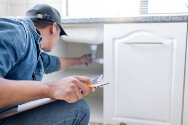 Best Faucet Repair  in Princeton, IL